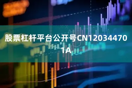 股票杠杆平台公开号CN120344701A