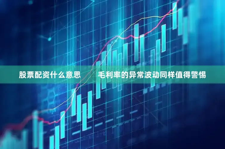 股票配资什么意思        毛利率的异常波动同样值得警惕