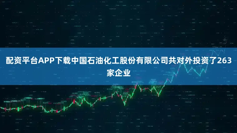配资平台APP下载中国石油化工股份有限公司共对外投资了263家企业