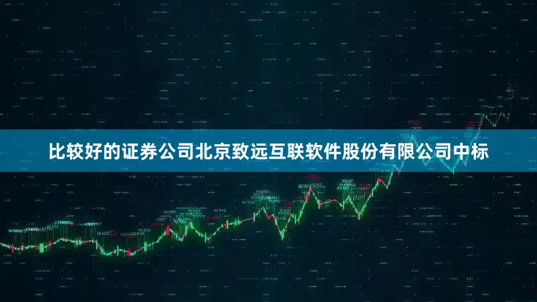 比较好的证券公司北京致远互联软件股份有限公司中标