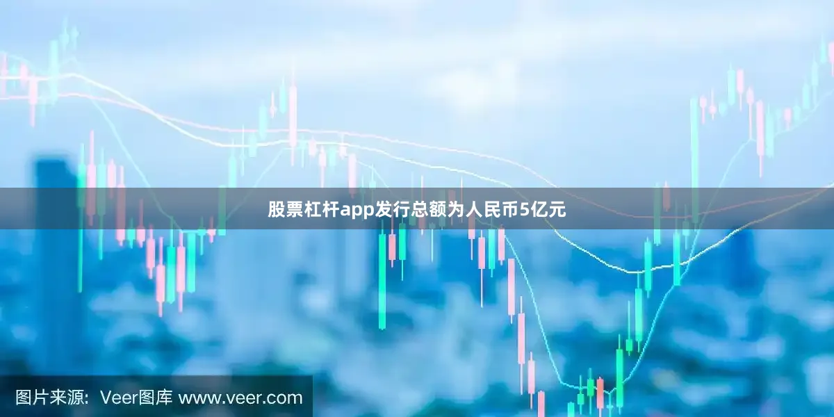 股票杠杆app发行总额为人民币5亿元