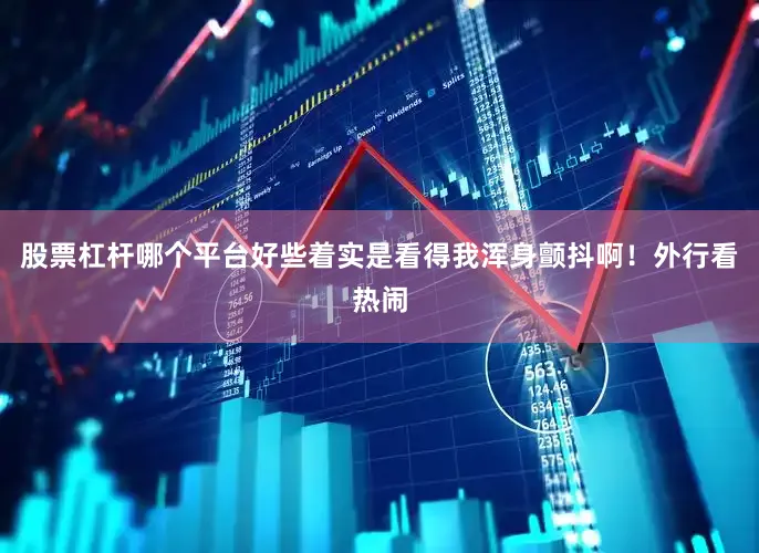 股票杠杆哪个平台好些着实是看得我浑身颤抖啊！外行看热闹